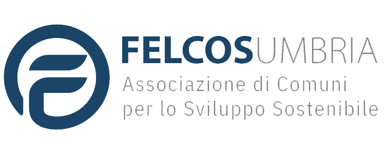 logo_felcos